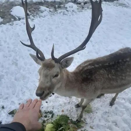 Dom Na Polanie * Brzeznica (Wadowice)