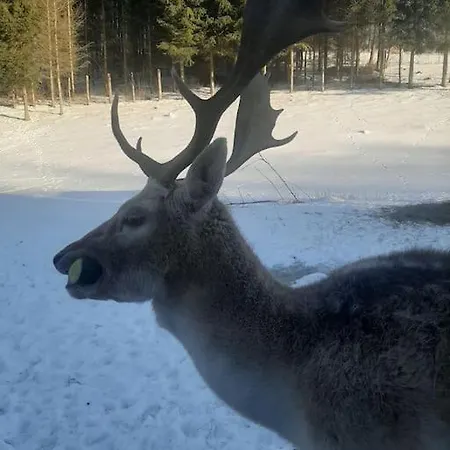 Dom Na Polanie * Brzeznica (Wadowice)