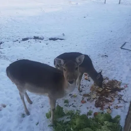 Dom Na Polanie Дом отдыха Brzeznica (Wadowice)