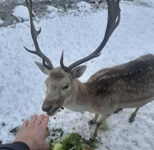 Dom Na Polanie * Brzeznica (Wadowice)