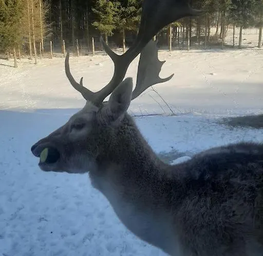 Dom Na Polanie * Brzeznica (Wadowice)