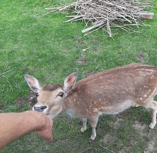 Dom Na Polanie Casa vacanze *