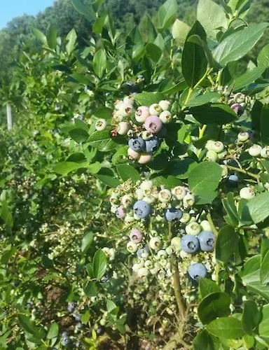 Dom Na Polanie Casa vacanze *