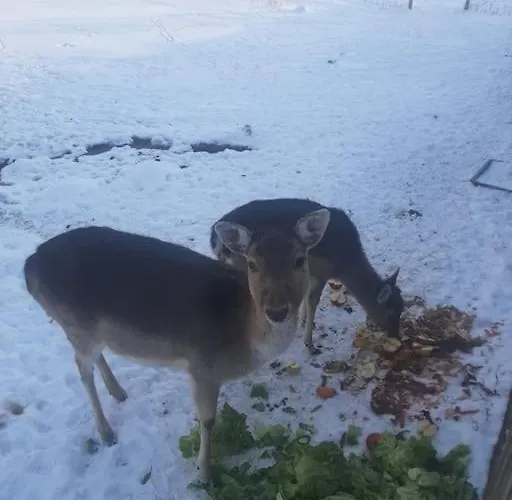 Dom Na Polanie Casa vacanze Brzeznica (Wadowice)